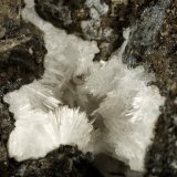 Beryl (variety emerald), Calcite, Parisite, Aragonite(?)
38x40x31mm, xl=15x10mm
(Autor: Fiebre Verde)