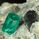 Beryl (variety emerald), Calcite, Dolomite
22x20x20mm, xl=5mm
(Autor: Fiebre Verde)