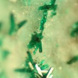 Atacamite
FOV 5 mm
(Autor: Firmo Espinar)