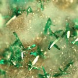 Atacamite
FOV 5 mm
(Autor: Firmo Espinar)