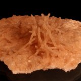 Calcite
162mm x 157mm x 48mm
(Autor: Don Lum)