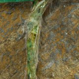 Beryl (variety emerald)
46x78x24mm, longest xl=31mm
(Autor: Fiebre Verde)