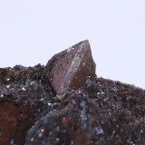 Zunyite
the crystal on matrix is 1 cm
(Autor: Arash Ghafari)