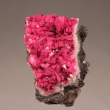 Calcite (variety cobaltoan calcite)
65mm x 42mm x 25mm
(Autor: Don Lum)