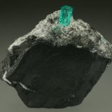 Beryl (variety emerald), Calcite, Pyrite, Quartz
50x20x45mm
(Autor: Fiebre Verde)