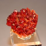 Vanadinite, Barite
58mm x 54mm x 38mm
(Autor: Don Lum)