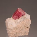 Beryl (variety red beryl)
57mm x 53mm x 37mm
(Autor: Don Lum)