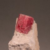 Beryl (variety red beryl)
57mm x 53mm x 37mm
(Autor: Don Lum)