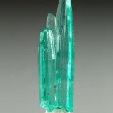 Beryl (variety emerald)
20x5mm
(Autor: Fiebre Verde)