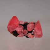 Rhodochrosite
33mm x 22mm x 24mm
(Autor: Don Lum)