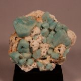 Microcline (variety amazonite), Albite
111mm x 84mm x 39mm
(Autor: Don Lum)