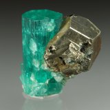 Beryl (variety emerald), Pyrite
xl=19x7.5mm
(Autor: Fiebre Verde)