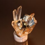 Pyrite, Quartz
60mm x 41mm x 38mm
(Autor: Don Lum)