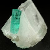 Beryl (variety emerald), Calcite, Dolomite
25x23x21mm, main xl=12mm
(Autor: Fiebre Verde)