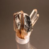 Pyrite, Quartz
60mm x 41mm x 38mm
(Autor: Don Lum)