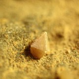 Wulfenite
FOV = 11 mm.
(Autor: Firmo Espinar)