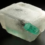 Beryl (variety emerald), Calcite, Dolomite
25x23x21mm, main xl=12mm
(Autor: Fiebre Verde)