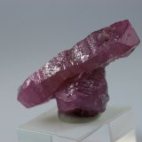 Corundum (variety ruby)
2.8 x 1.5 x 1 centimeters
(Autor: Ricardo Melendez)