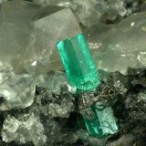 Beryl (variety emerald), Calcite, Pyrite
100x60x40mm
(Autor: Fiebre Verde)