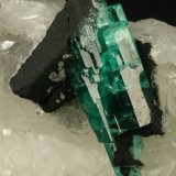 Beryl (variety emerald), Calcite
60x45x28mm
(Autor: Fiebre Verde)