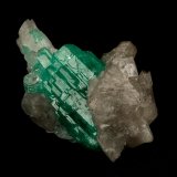 Beryl (variety emerald), Calcite, Quartz
21x35mm, cluster=20mm long
(Autor: Fiebre Verde)