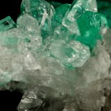 Beryl (variety emerald), Calcite, Quartz
21x35mm, cluster=20mm long
(Autor: Fiebre Verde)