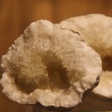 Calcite
62mm x 48mm x 55mm
(Autor: Firmo Espinar)