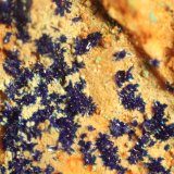 Azurite
FOV = 29 mm.
(Autor: Firmo Espinar)
