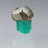 Beryl (variety emerald), Pyrite
xl=7mm
(Autor: Fiebre Verde)