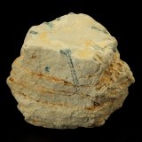 Beryl (variety emerald)
60x42x48mm, longest xl=17mm
(Autor: Fiebre Verde)