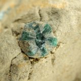 Beryl (variety emerald)
60x42x48mm, longest xl=17mm
(Autor: Fiebre Verde)