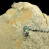Beryl (variety emerald)
60x42x48mm, longest xl=17mm
(Autor: Fiebre Verde)