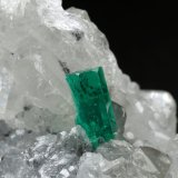 Beryl (variety emerald), Calcite, Dolomite, Quartz
42x24x23mm, xls=8mm
(Autor: Fiebre Verde)