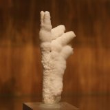 Aragonite
26mm x 72mm x 18mm
(Autor: Firmo Espinar)