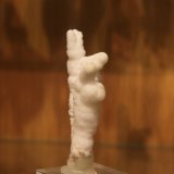 Aragonite
26mm x 72mm x 18mm
(Autor: Firmo Espinar)