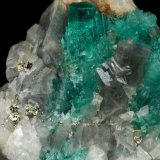 Beryl (variety emerald), Calcite, Pyrite
37x30x32mm, largest xl=10mm
(Autor: Fiebre Verde)