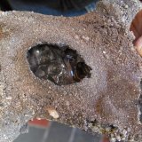 fulgurite
'fingers scale'
(Autor: vic rzonca)