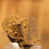 limonite after Pyrite
23 mm x 27 mm x 22mm
(Autor: Firmo Espinar)