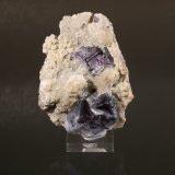 Fluorite
5cm X 7.5cm
(Autor: Richard Arseneau)