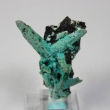 Chrysocolla with Malachite
55 mm x 41 mm x 23 mm
(Autor: Don Lum)