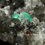 Beryl (variety emerald), Calcite, Dolomite, Pyrite, Quartz
66x49x24mm, main xl=6x4mm
(Autor: Fiebre Verde)