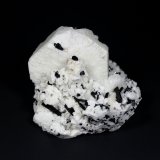 Microcline, Schorl
137 mm x 115 mm x 82 mm
(Autor: Don Lum)