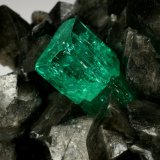 Beryl (variety emerald), Calcite
68x62x40mm, xl=15mm
(Autor: Fiebre Verde)