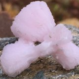Calcite (variety manganoan) on Kutnohorite
2.5cm X 2.3cm x 1.3cm
(Autor: steven calamuci)