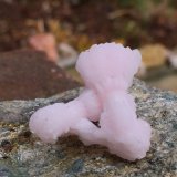 Calcite (variety manganoan) on Kutnohorite
2.5cm X 2.3cm x 1.3cm
(Autor: steven calamuci)