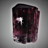 Elbaite (Tourmaline Group), Albite
68 mm x 48 mm x 45 mm
(Autor: Don Lum)