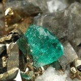Beryl (variety emerald), Albite (variety cleavelandite), Pyrite, Calcite
47x16x29mm, xl=4mm
(Autor: Fiebre Verde)