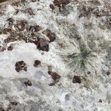 Andradite
9.5 x 7.4 x 4.1 cm
(Autor: steven calamuci)