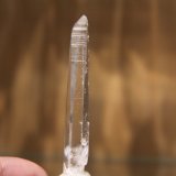 Quartz
9mm x 60mm x 8mm
(Autor: Firmo Espinar)