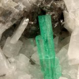 Beryl (variety emerald), Calcite
51x46x46mm, cluster=20mm
(Autor: Fiebre Verde)